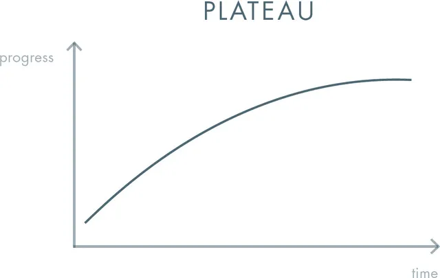 A graph showing progress rising and then leveling off into a flat line